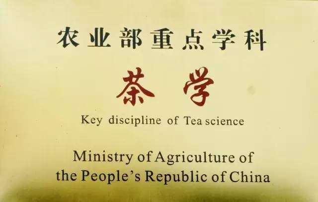 走进安徽大学校园,走进安徽大学