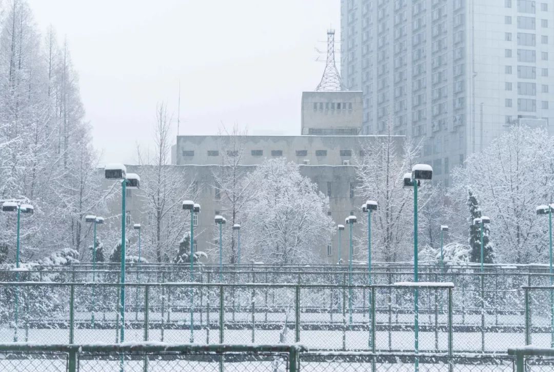 走进安徽大学校园,走进安徽大学