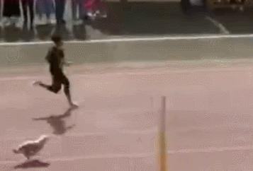 大哥你的笑容要溢出屏幕了，收住收住，2019搞笑体育动图集锦来了