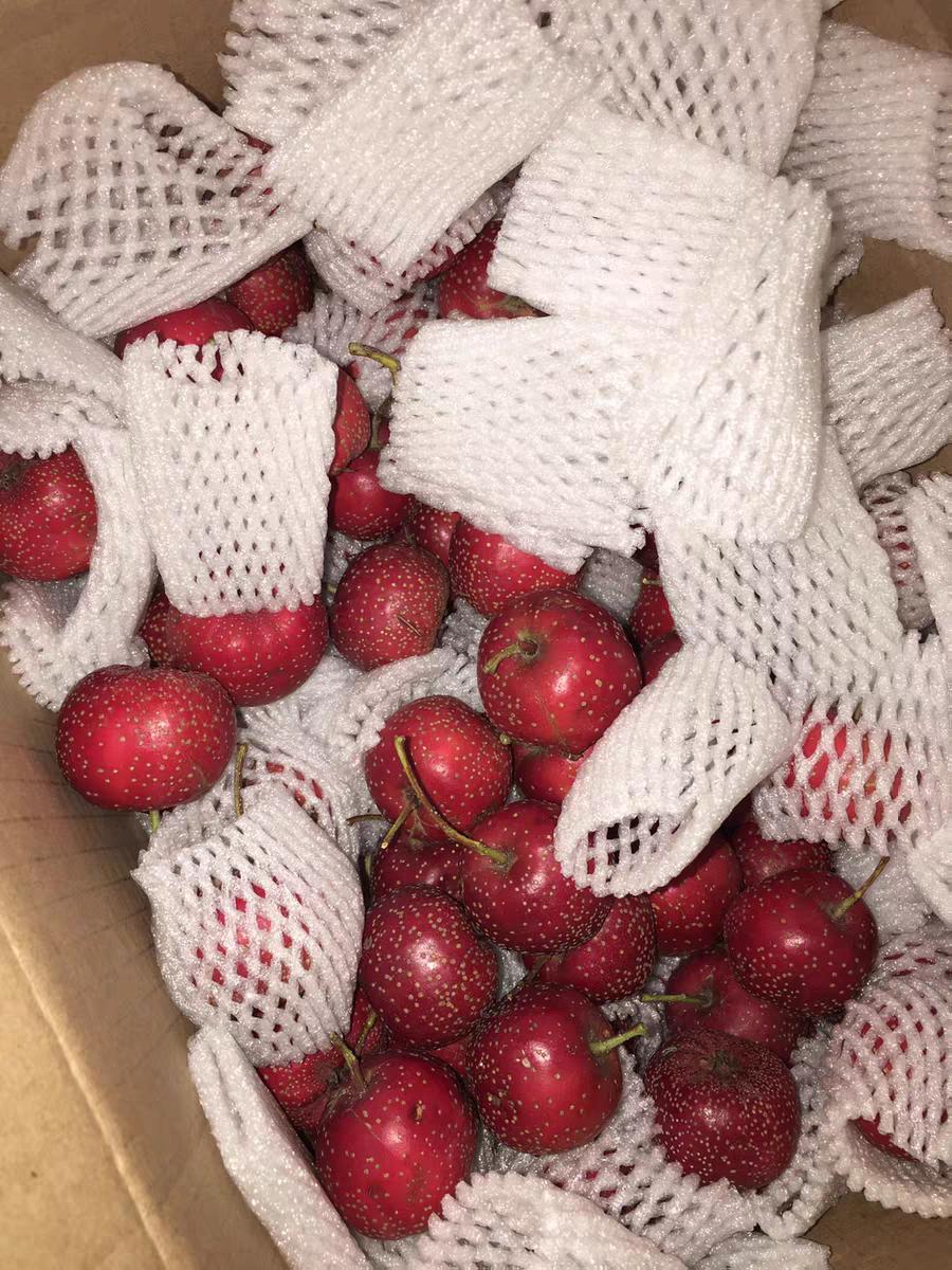 什么水果干果降血压效果最好最快,哪种水果有降血压的功效蚂蚁庄园