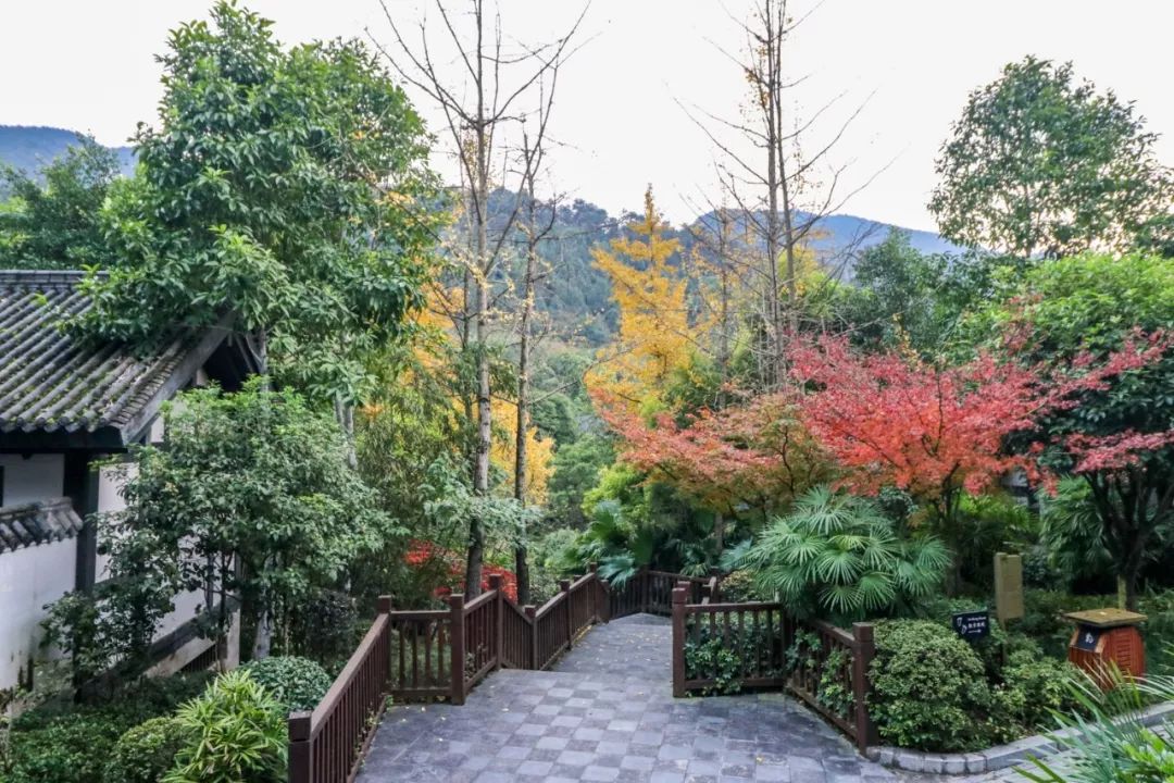 山水环抱、私汤入户|是时候造访全球首家悦榕庄温泉度假村了