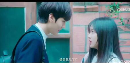 淑女飘飘拳大结局卫楚求婚,淑女飘飘拳和卫楚