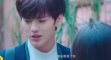 淑女飘飘拳大结局卫楚求婚,淑女飘飘拳和卫楚