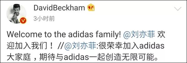 adidas最新代言人,adidas目前的代言
