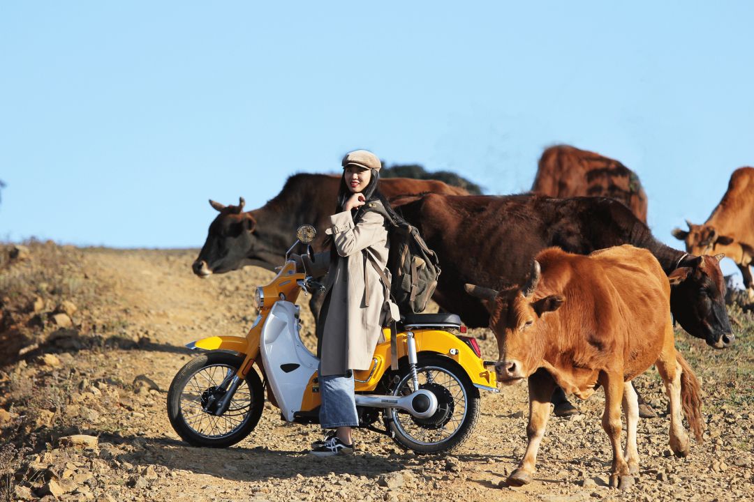 女司机骑摩托车,骑电动车旅游洱海