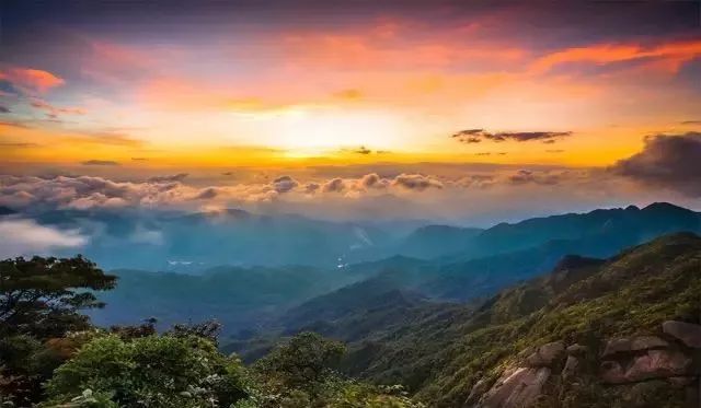 2020骞翠綑棰濆凡涓嶈冻,2019骞村凡浣欓涓嶈冻