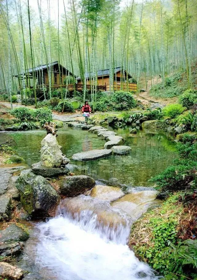 2020骞翠綑棰濆凡涓嶈冻,2019骞村凡浣欓涓嶈冻