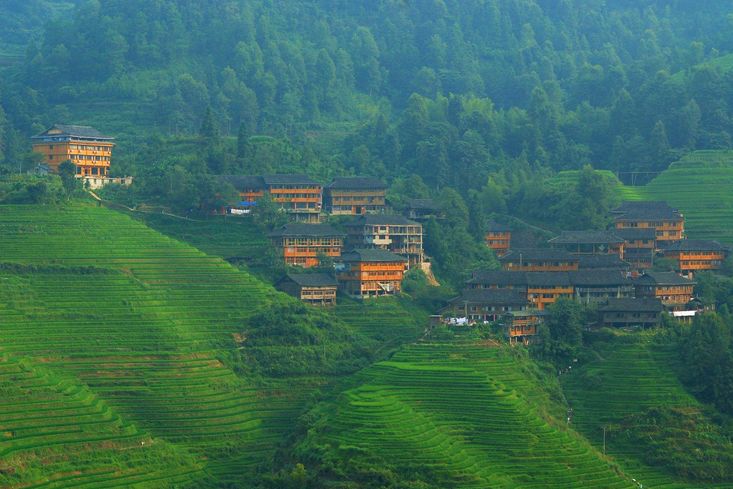 2020骞翠綑棰濆凡涓嶈冻,2019骞村凡浣欓涓嶈冻