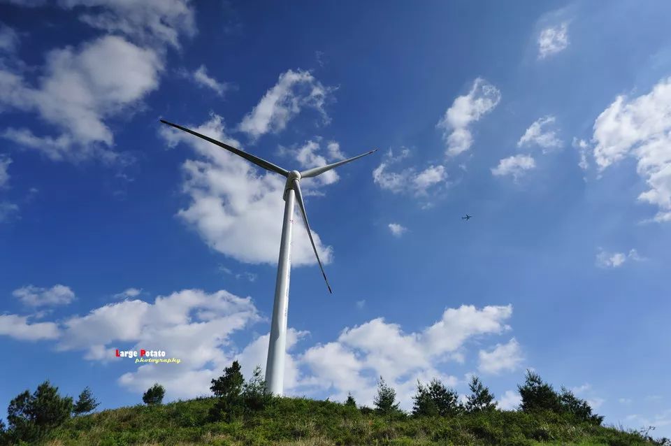 2020骞翠綑棰濆凡涓嶈冻,2019骞村凡浣欓涓嶈冻