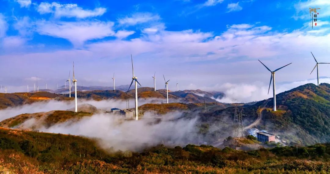 2020骞翠綑棰濆凡涓嶈冻,2019骞村凡浣欓涓嶈冻