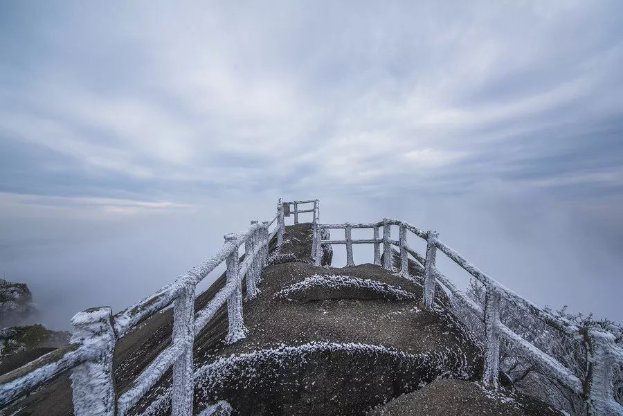 2020骞翠綑棰濆凡涓嶈冻,2019骞村凡浣欓涓嶈冻