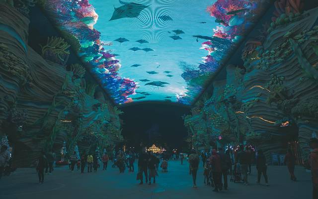 海底探秘视频,海底探秘海洋馆