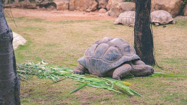 海底探秘视频,海底探秘海洋馆