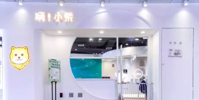 吸猫撸狗遛羊驼,吸狗撸猫遛羊驼