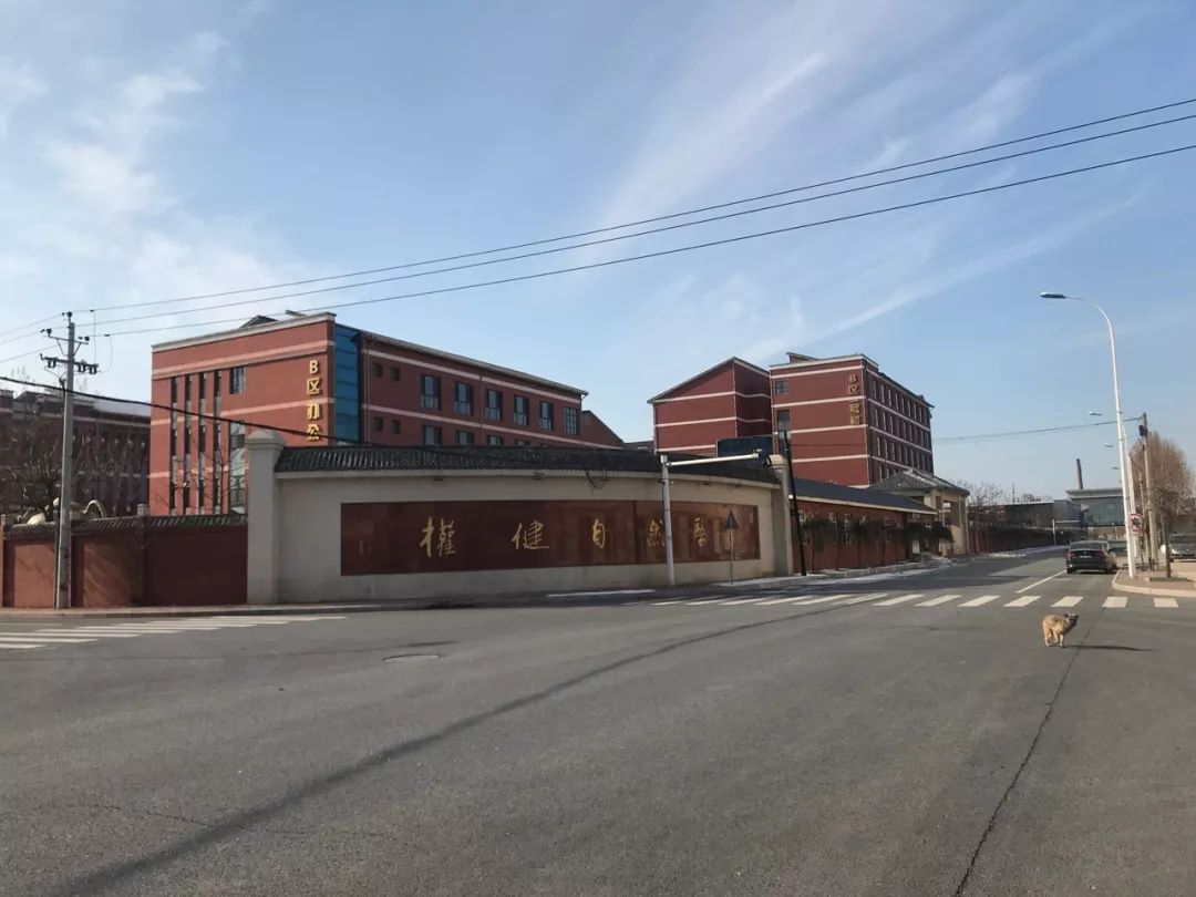 权健火疗传销最新消息,天津权健火疗传销揭秘