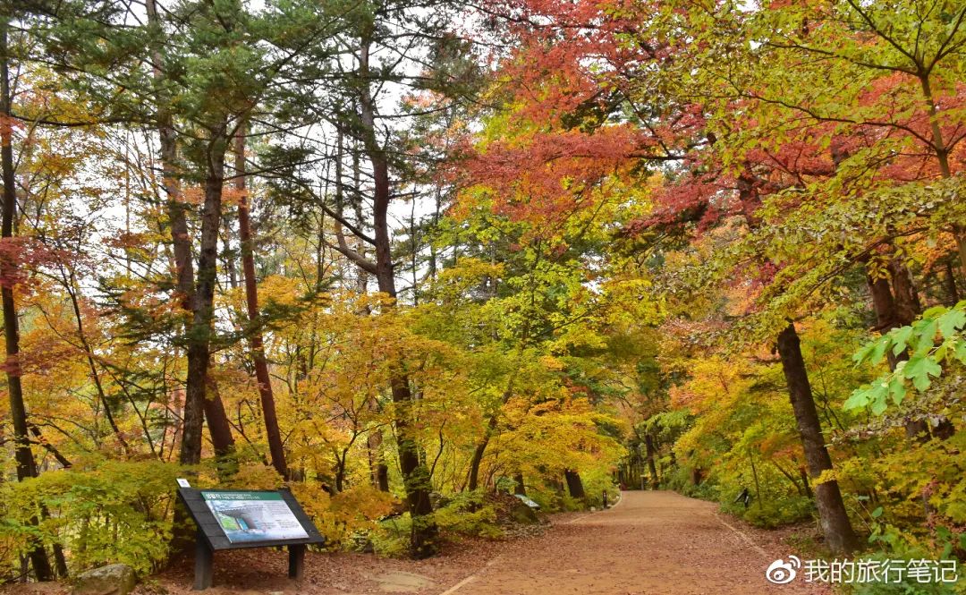 韩国旅行攻略大全 (2018年的第一次旅行从韩国开始)
