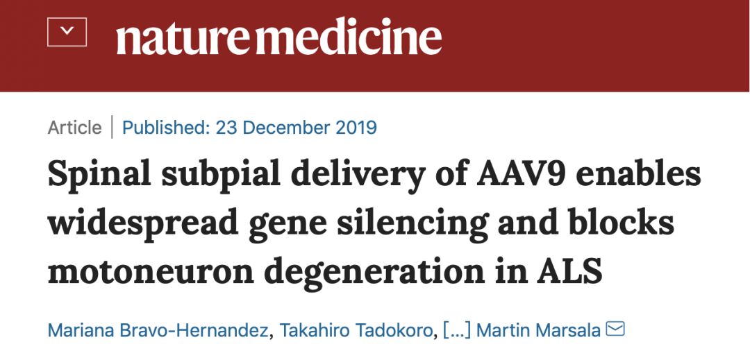 nature子刊癌症新突破,nature子刊人文社科