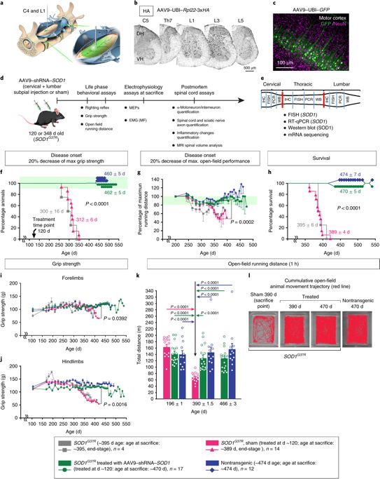 nature子刊癌症新突破,nature子刊人文社科