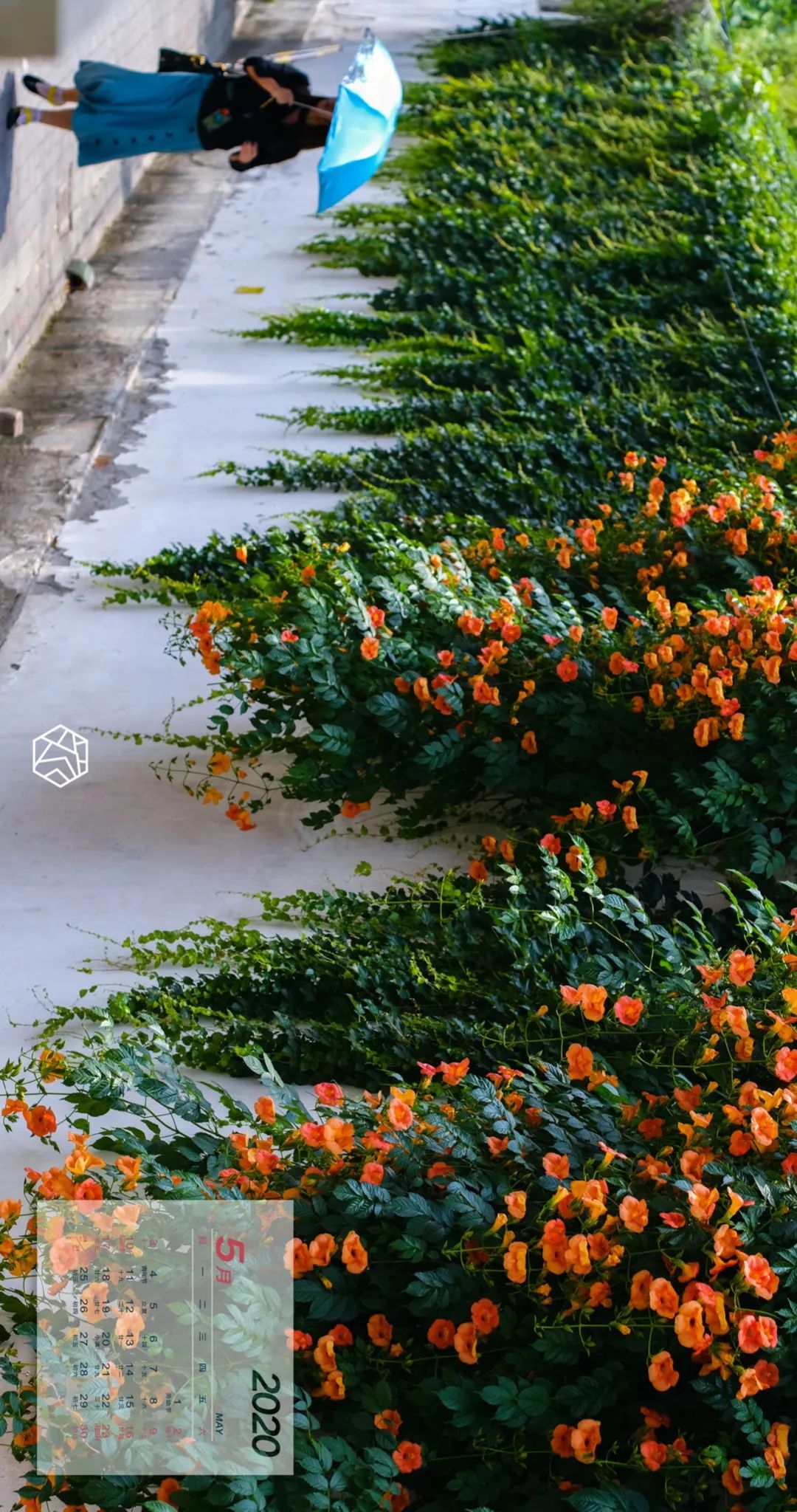 苏州绝美地点,苏州最美的一个区