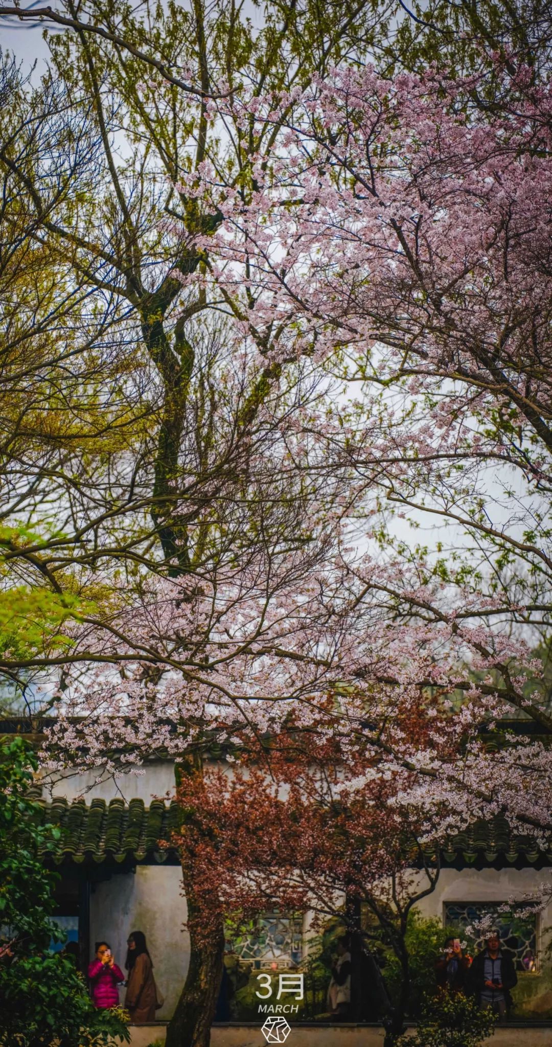 苏州绝美地点,苏州最美的一个区