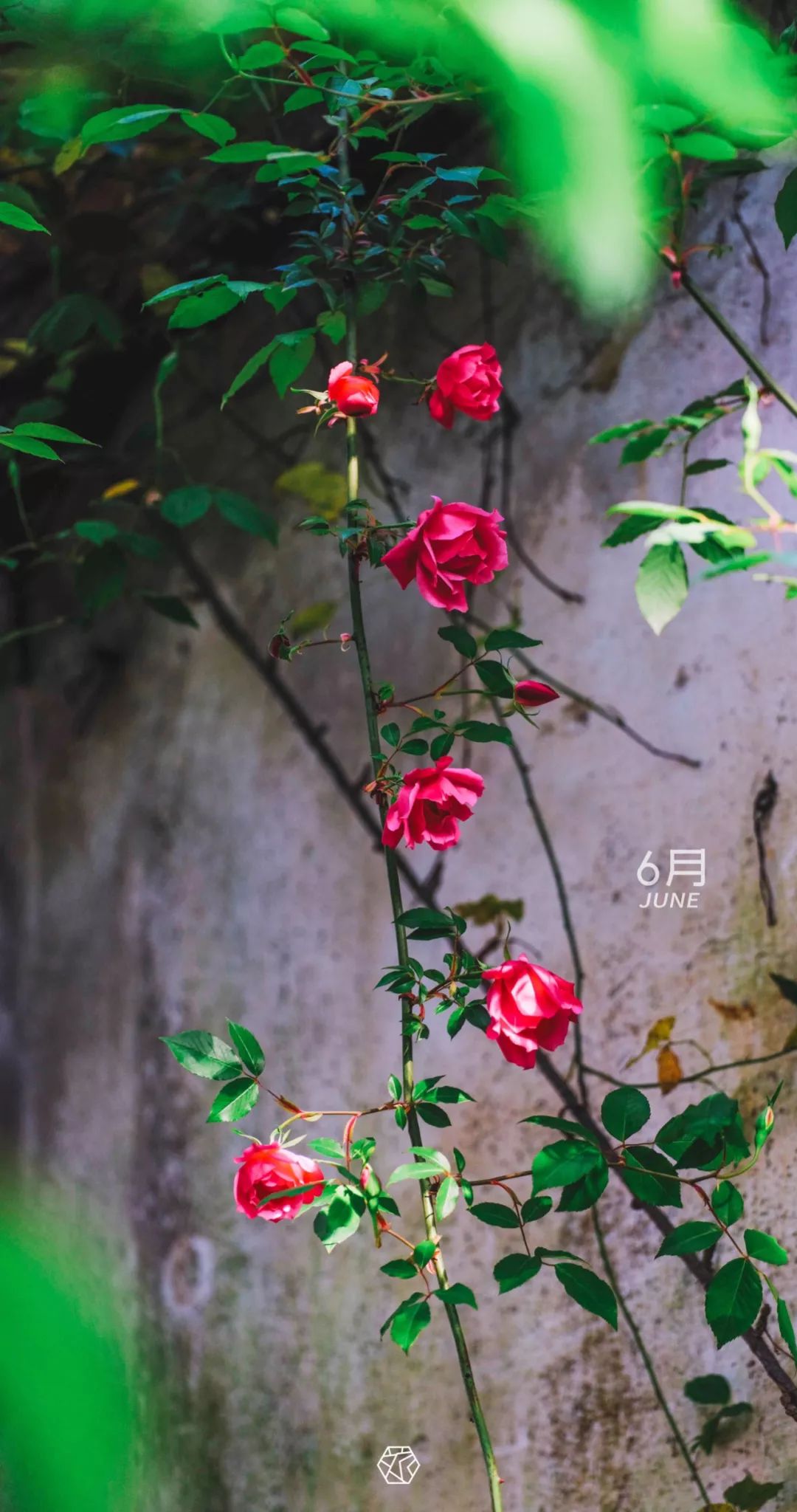 苏州绝美地点,苏州最美的一个区