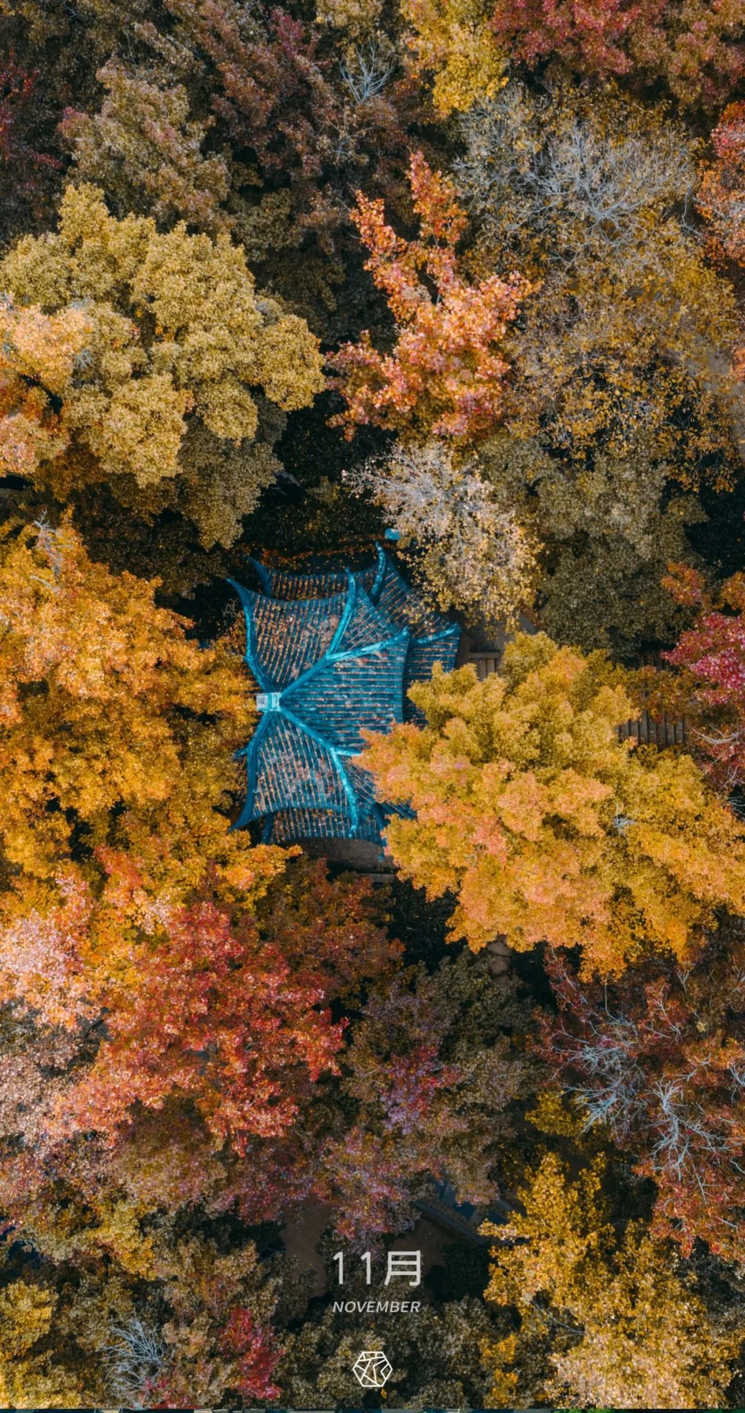 苏州绝美地点,苏州最美的一个区