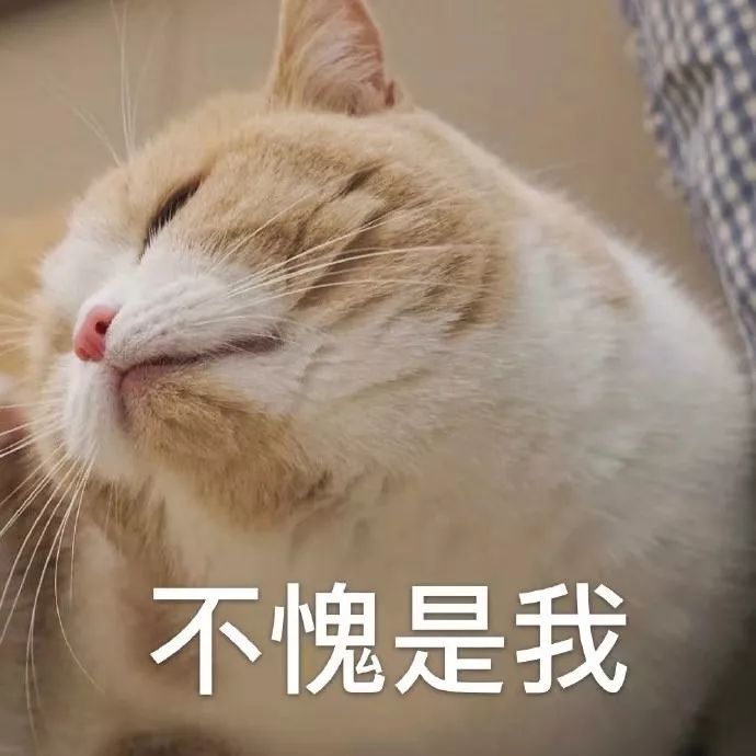 哦买噶！副县长李佳琦式直播，这样的带货你见过吗？|沸话