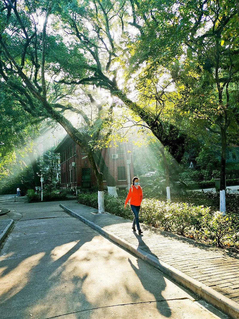 天涯咫尺，如见故人|2019小林摄影总结