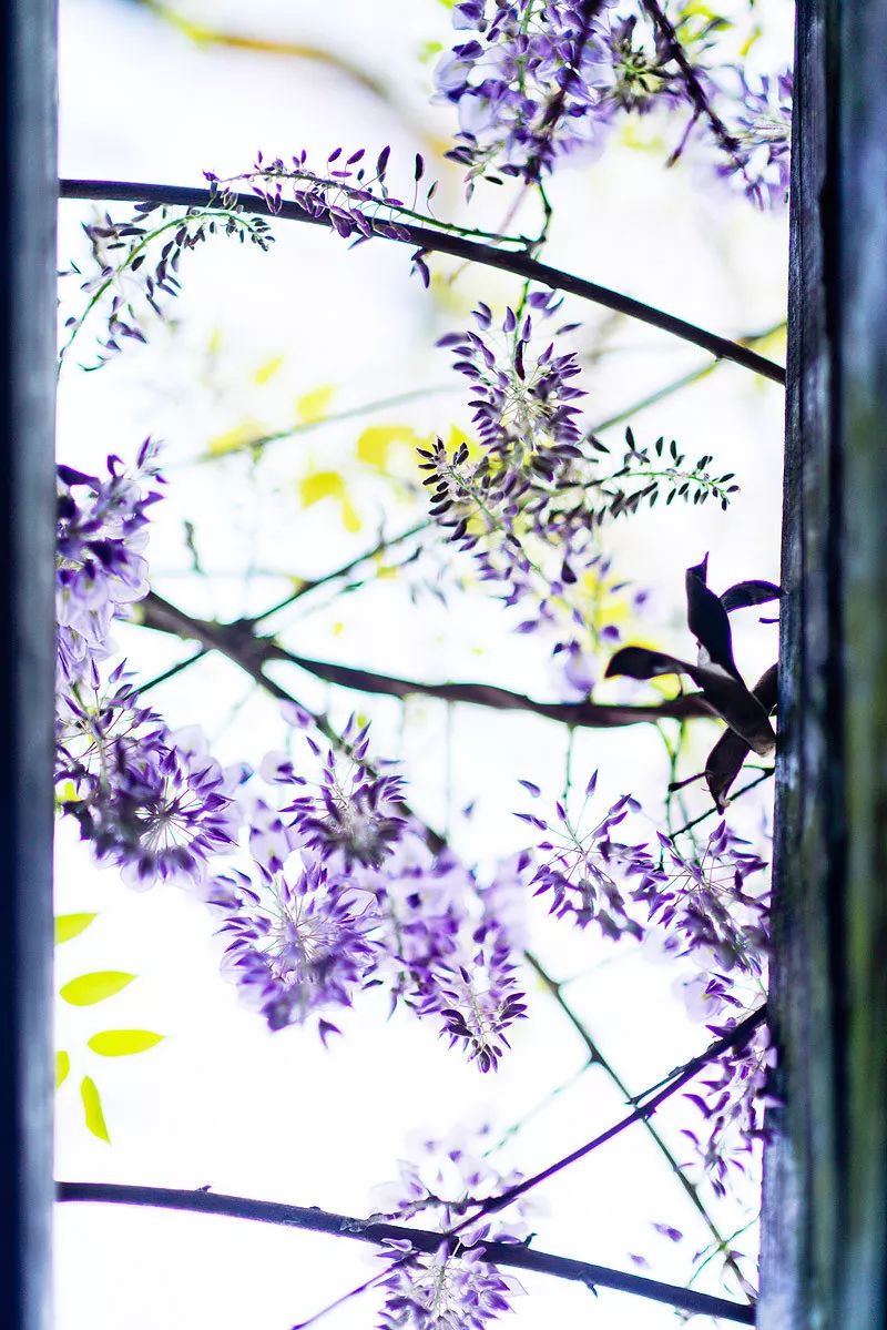 天涯咫尺，如见故人|2019小林摄影总结