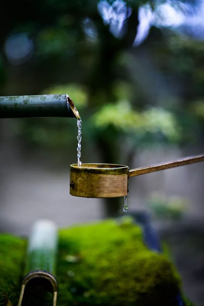 天涯咫尺，如见故人|2019小林摄影总结