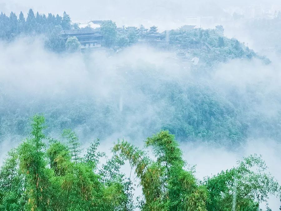 天涯咫尺，如见故人|2019小林摄影总结