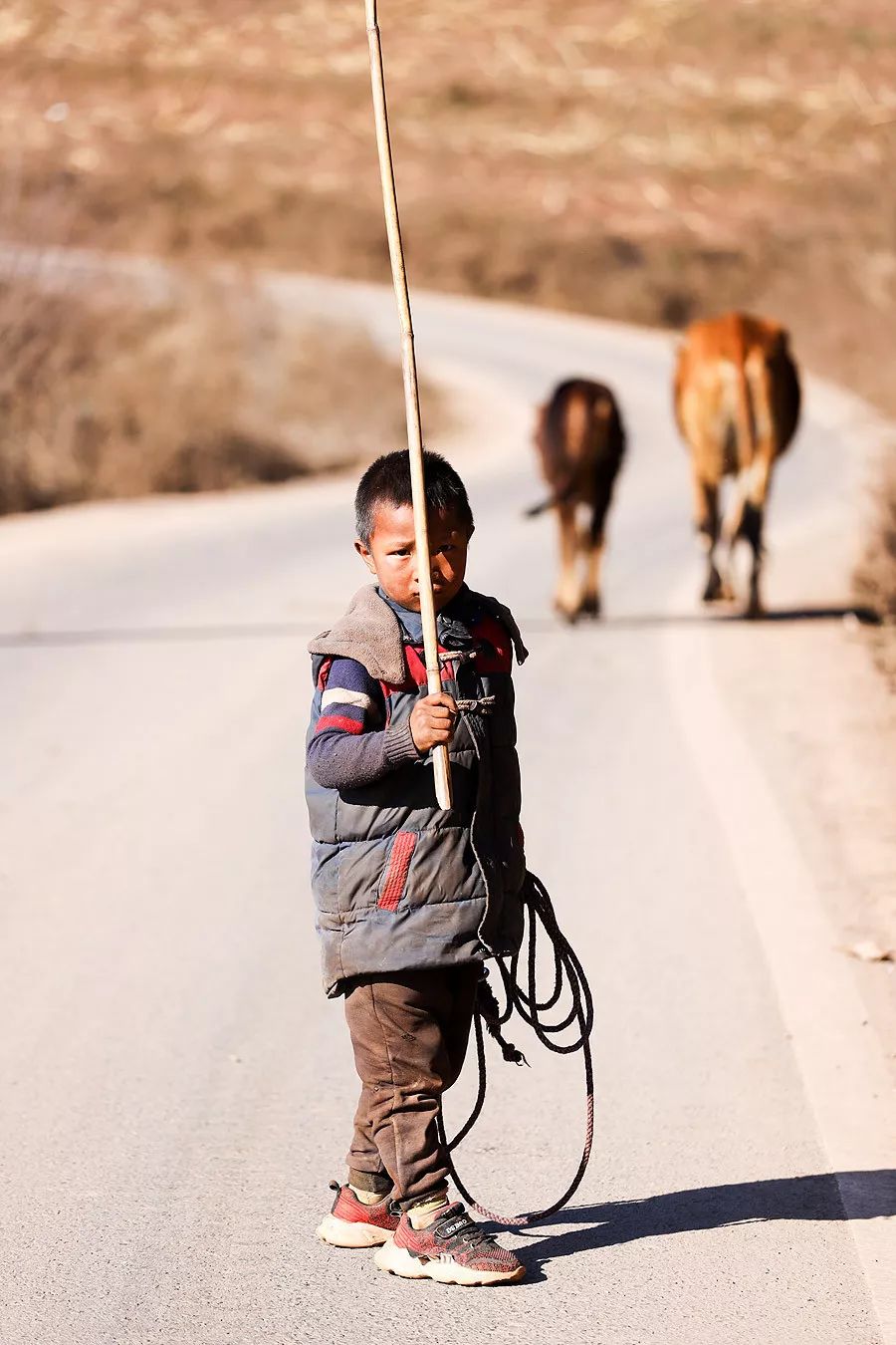 天涯咫尺，如见故人|2019小林摄影总结