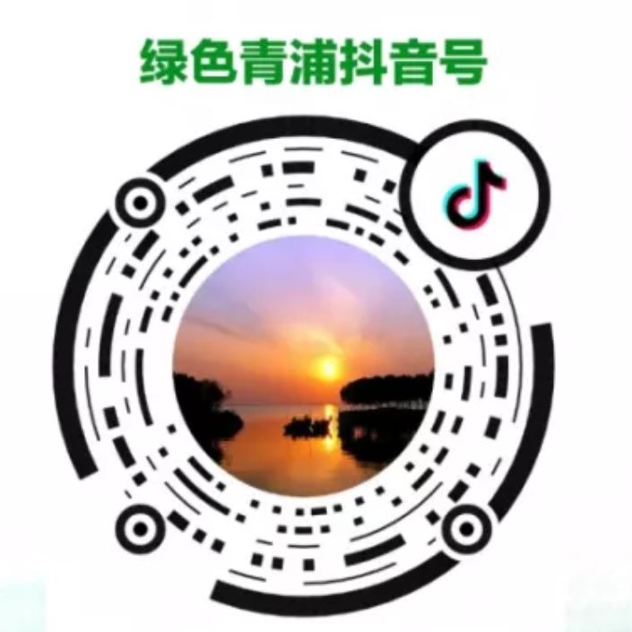 徐汇区u9足球精英队,青浦u15足球队