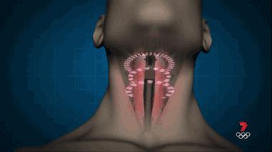 呼噜娃创作原声,呼噜娃完整视频