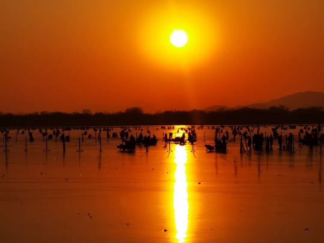 最新颐和园冰场,2024年颐和园冰场开了吗