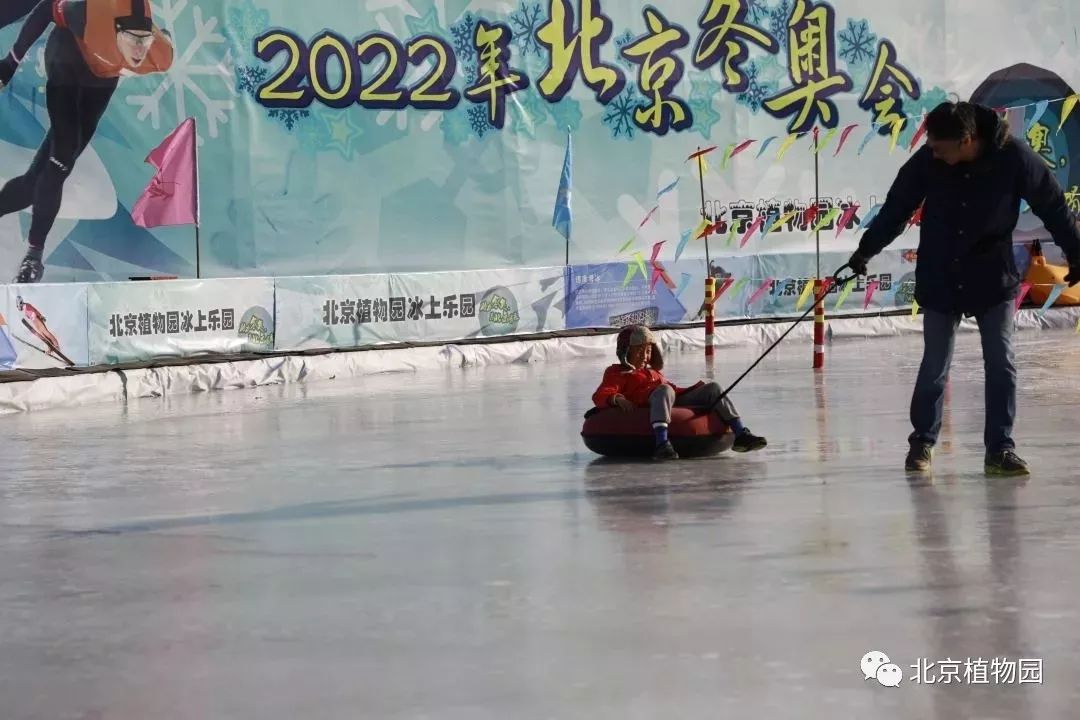 最新颐和园冰场,2024年颐和园冰场开了吗