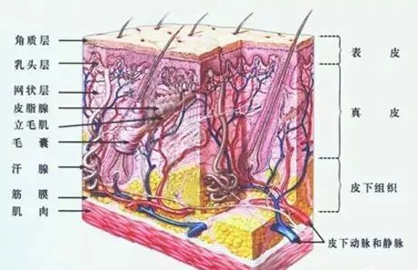 婚姻会终止多年的感情吗,婚姻会不复存在吗