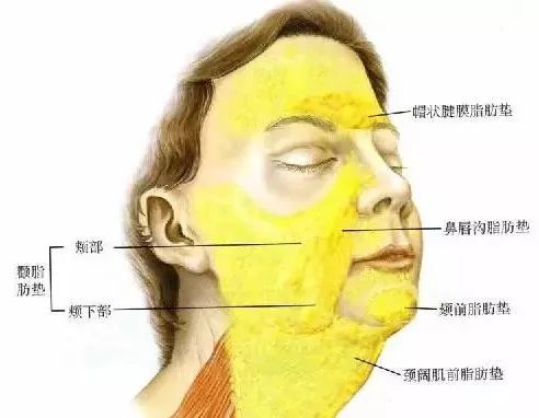 婚姻会终止多年的感情吗,婚姻会不复存在吗