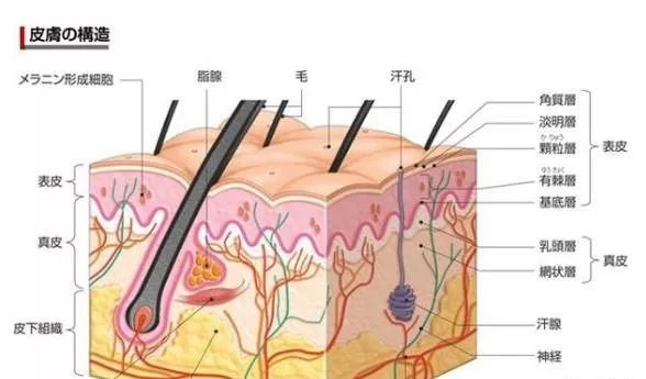 婚姻会终止多年的感情吗,婚姻会不复存在吗