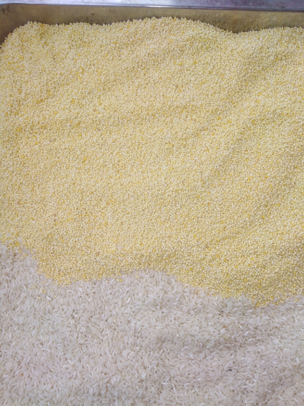 酒米鲫鱼窝料的自制配方视频,鲫鱼酒米窝料自制配方