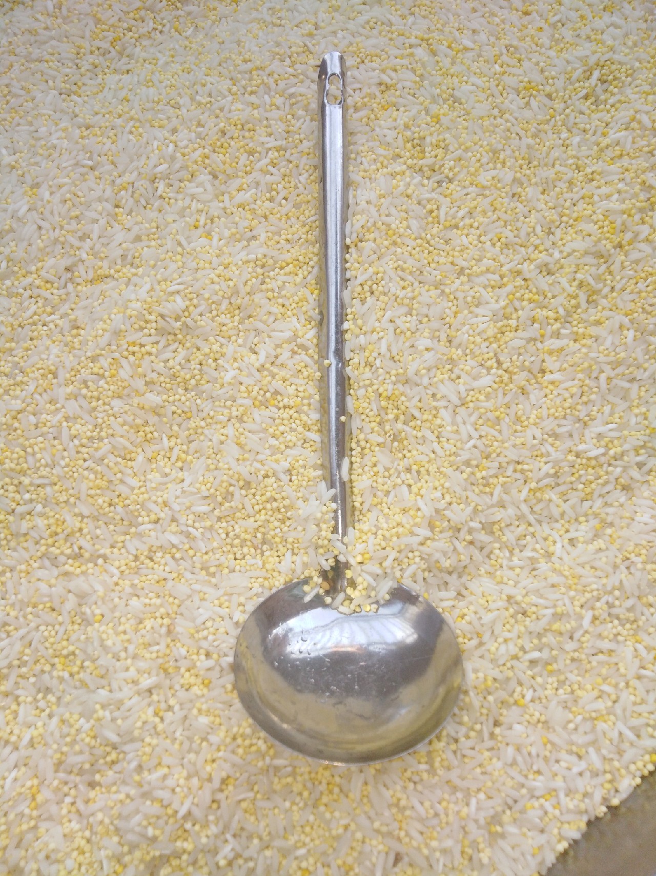 酒米鲫鱼窝料的自制配方视频,鲫鱼酒米窝料自制配方