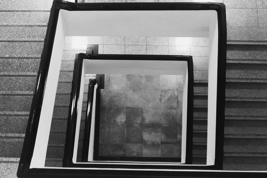 这还是我认识的相机吗,这还是我认识的二哈吗