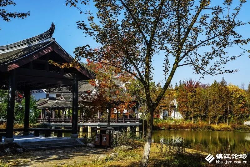 过年去镇江一日游去哪里好,镇江过年去哪儿旅游合适