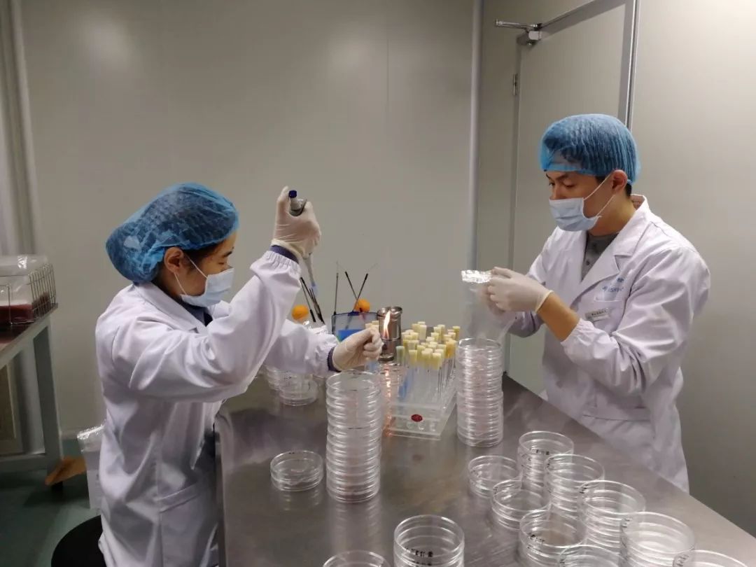 洗草莓怎么洗才能洗干净,草莓用什么洗能洗干净