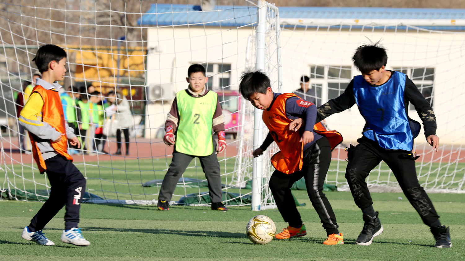 洋教练助力青训,洋主帅和本土教练