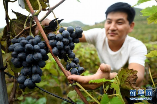 娑夊幙鍚庢睜鎰氬叕绉诲北鍥剧墖,澶灞卞尯鑴辫传鏀诲潥鏁呬簨