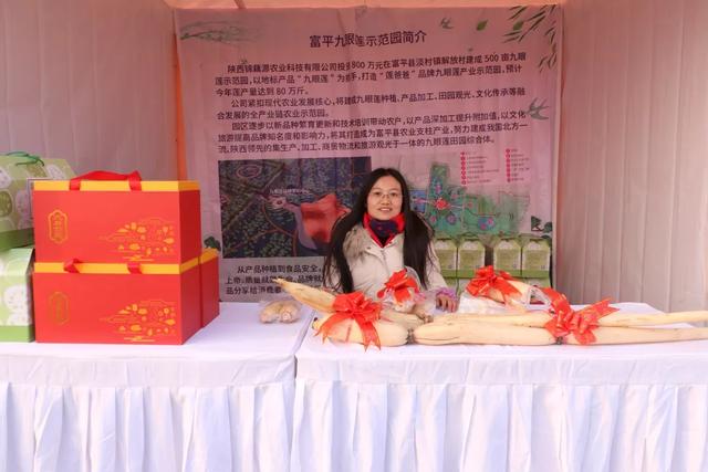 庄里柿饼展览会图片,庄里柿饼演出