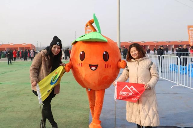 庄里柿饼展览会图片,庄里柿饼演出