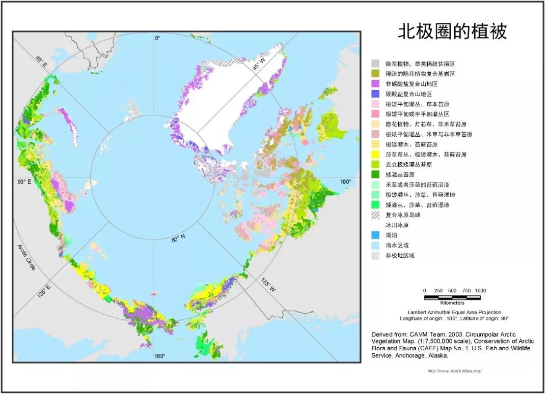 植物过冬用保温棉,冬季房屋防寒小妙招