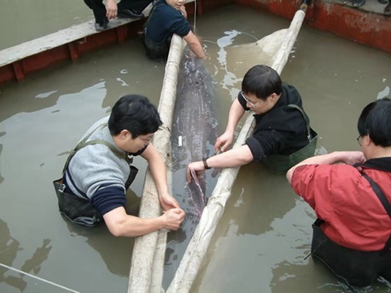 鍙戠數姘村簱鍏婚奔,鍙戠數姘村簱